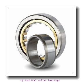 3.346 Inch | 85 Millimeter x 7.087 Inch | 180 Millimeter x 1.614 Inch | 41 Millimeter  CONSOLIDATED BEARING N-317E  Cylindrical Roller Bearings