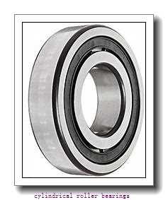 2.165 Inch | 55 Millimeter x 3.543 Inch | 90 Millimeter x 0.709 Inch | 18 Millimeter  CONSOLIDATED BEARING NU-1011 M  Cylindrical Roller Bearings
