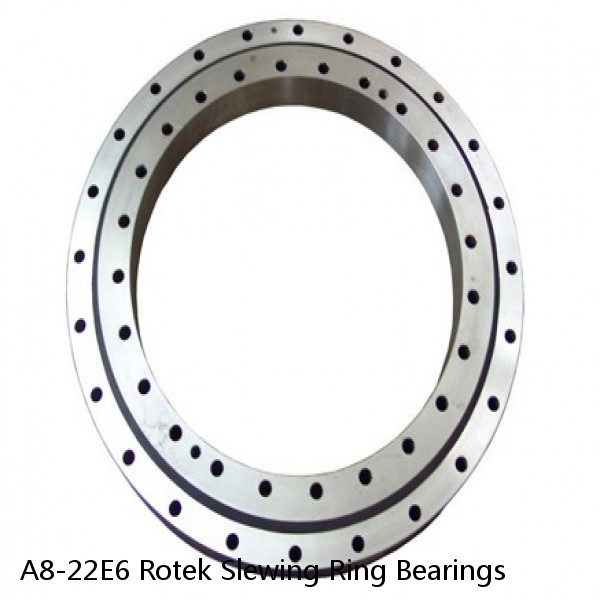 A8-22E6 Rotek Slewing Ring Bearings #1 small image