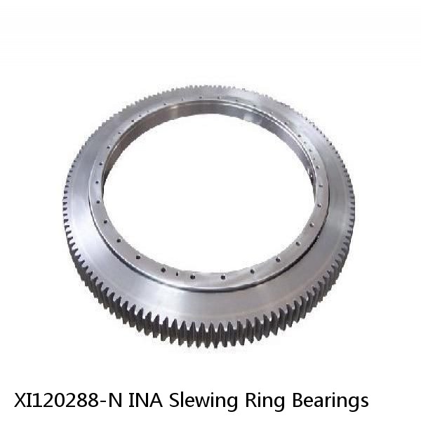 XI120288-N INA Slewing Ring Bearings #1 small image