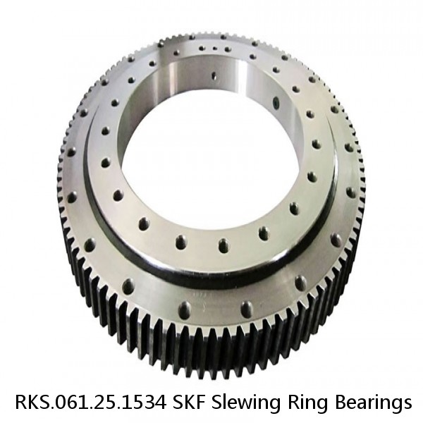 RKS.061.25.1534 SKF Slewing Ring Bearings #1 small image