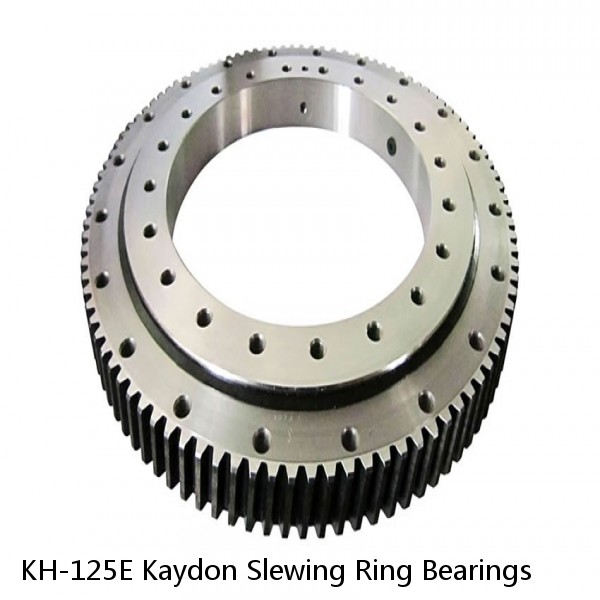 KH-125E Kaydon Slewing Ring Bearings #1 small image