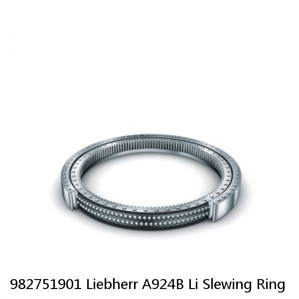 982751901 Liebherr A924B Li Slewing Ring #1 small image