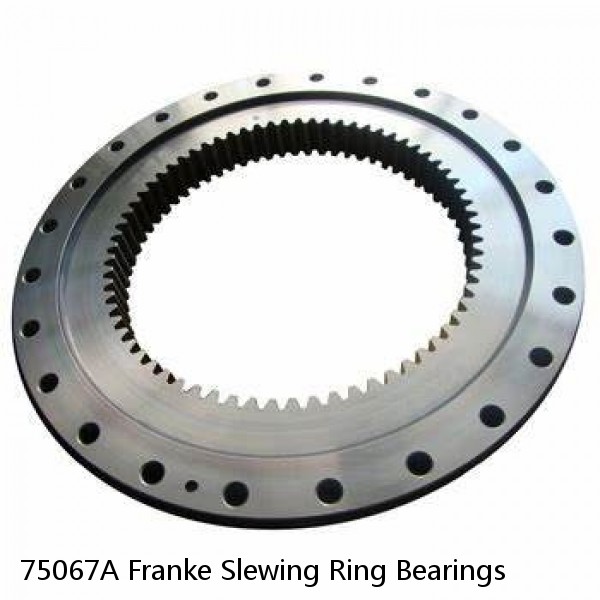 75067A Franke Slewing Ring Bearings