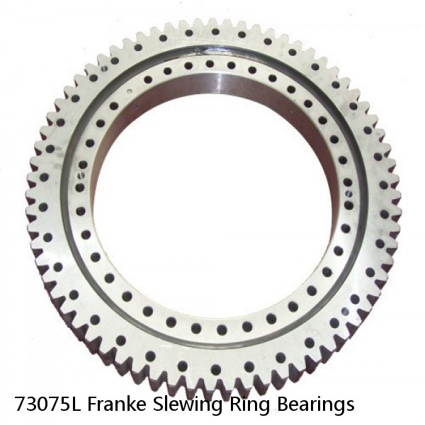 73075L Franke Slewing Ring Bearings #1 small image