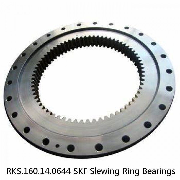RKS.160.14.0644 SKF Slewing Ring Bearings