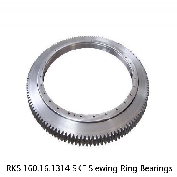 RKS.160.16.1314 SKF Slewing Ring Bearings #1 small image