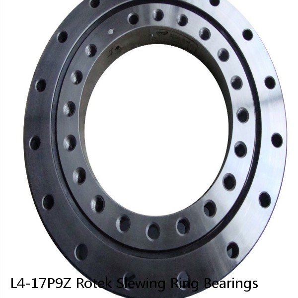 L4-17P9Z Rotek Slewing Ring Bearings #1 small image