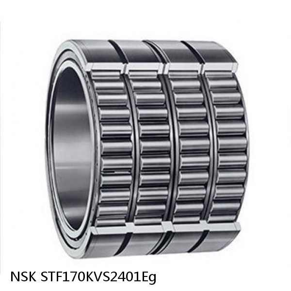 STF170KVS2401Eg NSK Four-Row Tapered Roller Bearing #1 small image