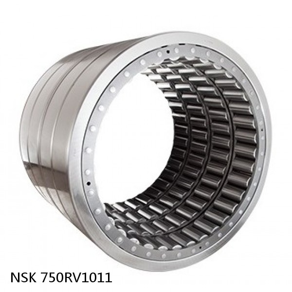 750RV1011 NSK Four-Row Cylindrical Roller Bearing #1 small image