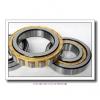 5.118 Inch | 130 Millimeter x 7.874 Inch | 200 Millimeter x 1.299 Inch | 33 Millimeter  CONSOLIDATED BEARING NU-1026 M C/3  Cylindrical Roller Bearings