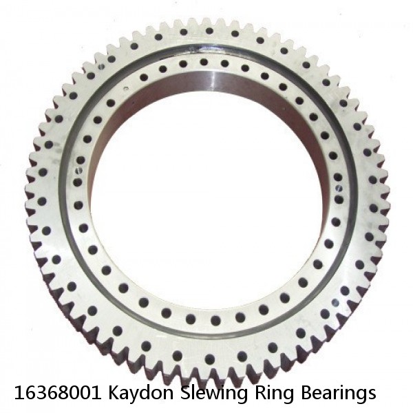 16368001 Kaydon Slewing Ring Bearings #1 image