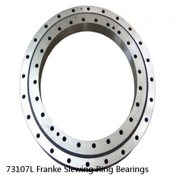 73107L Franke Slewing Ring Bearings #1 image
