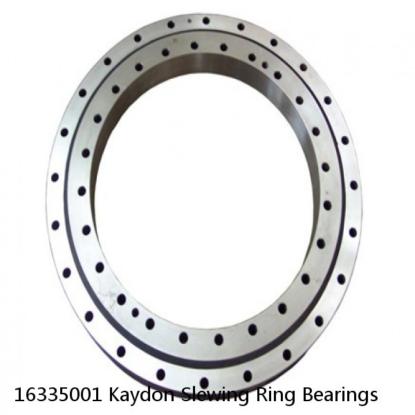 16335001 Kaydon Slewing Ring Bearings #1 image