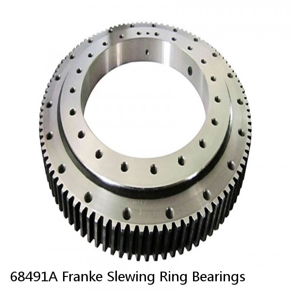 68491A Franke Slewing Ring Bearings #1 image