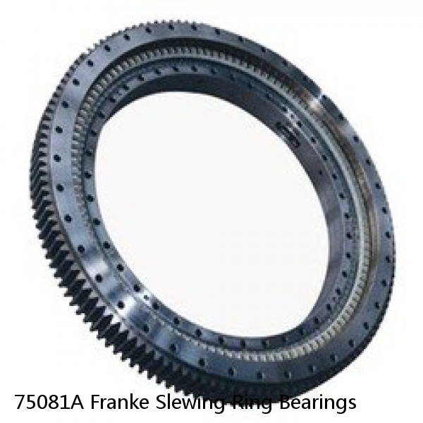 75081A Franke Slewing Ring Bearings #1 image