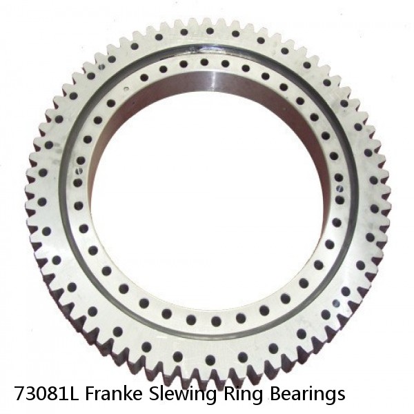 73081L Franke Slewing Ring Bearings #1 image