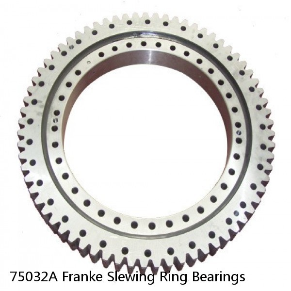 75032A Franke Slewing Ring Bearings #1 image