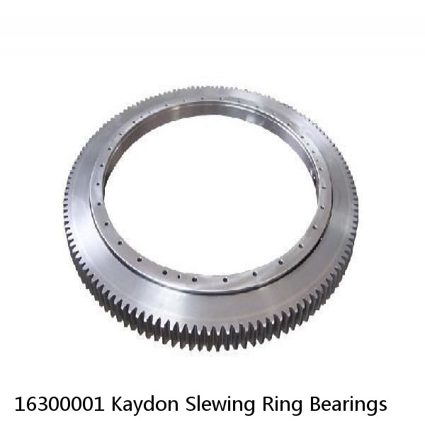 16300001 Kaydon Slewing Ring Bearings #1 image