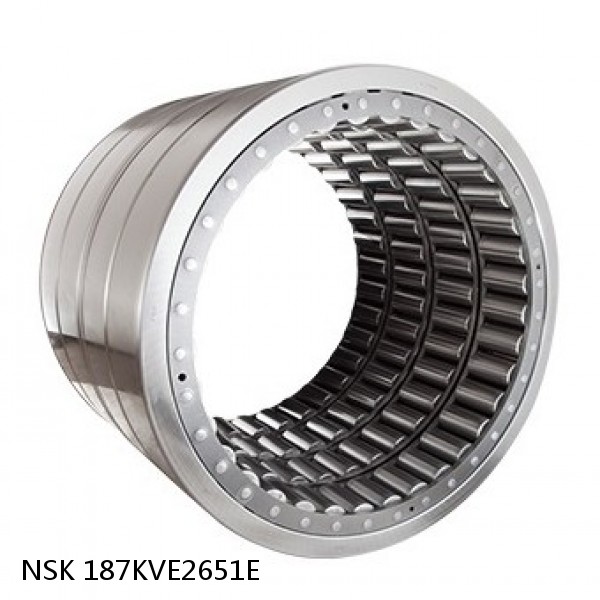 187KVE2651E NSK Four-Row Tapered Roller Bearing #1 image