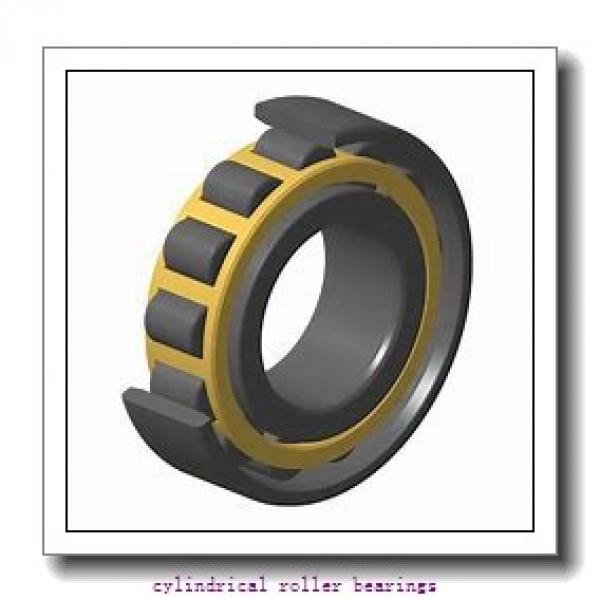 0.591 Inch | 15 Millimeter x 1.654 Inch | 42 Millimeter x 0.512 Inch | 13 Millimeter  CONSOLIDATED BEARING N-302 M  Cylindrical Roller Bearings #1 image